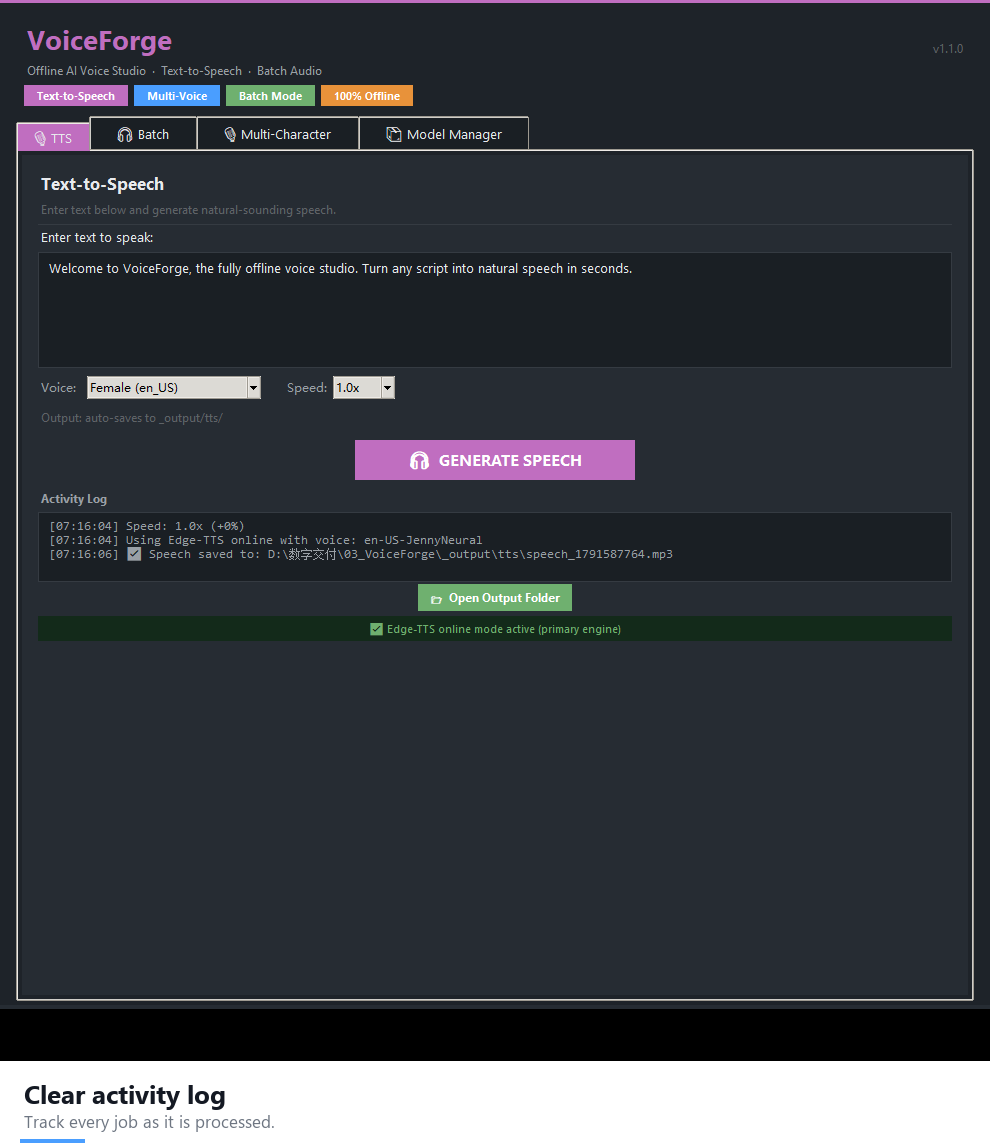 Clear activity log — VoiceForge
